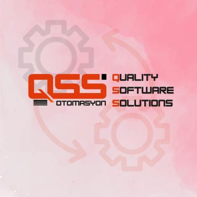 Qss Logo 6